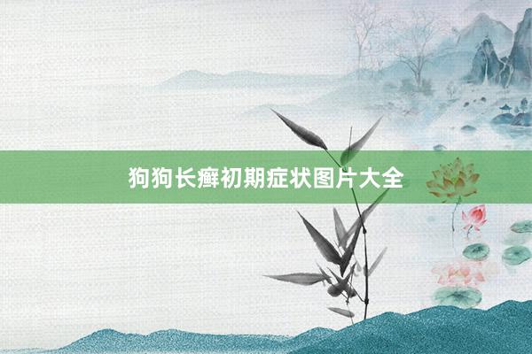 狗狗长癣初期症状图片大全